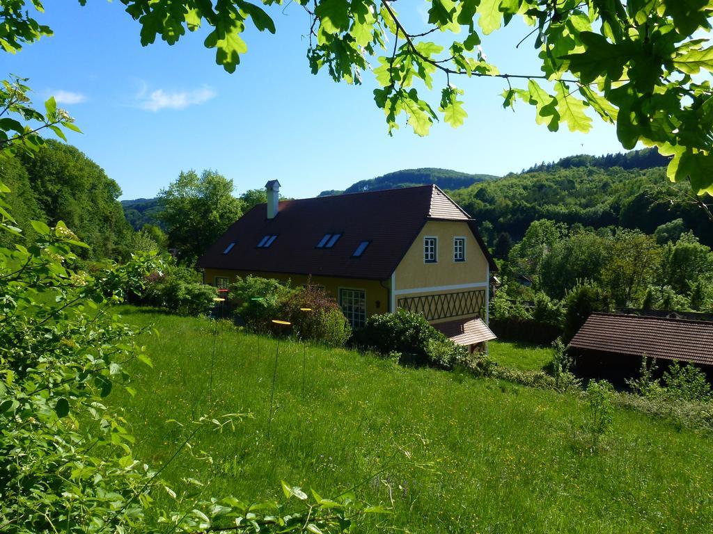 Ferien am Schloss Wald Wald  Exterior foto